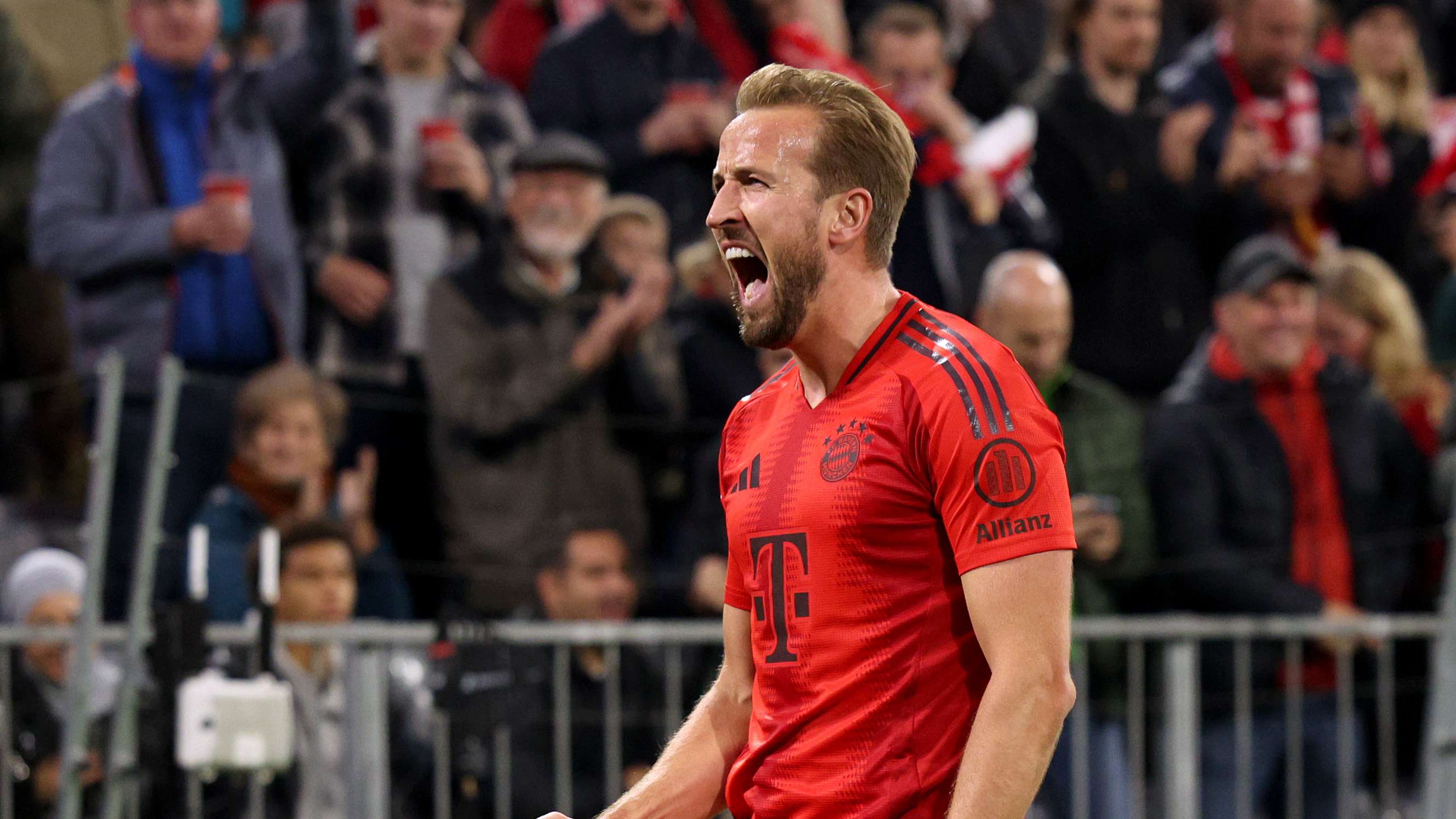 从而增强了 从而增强了