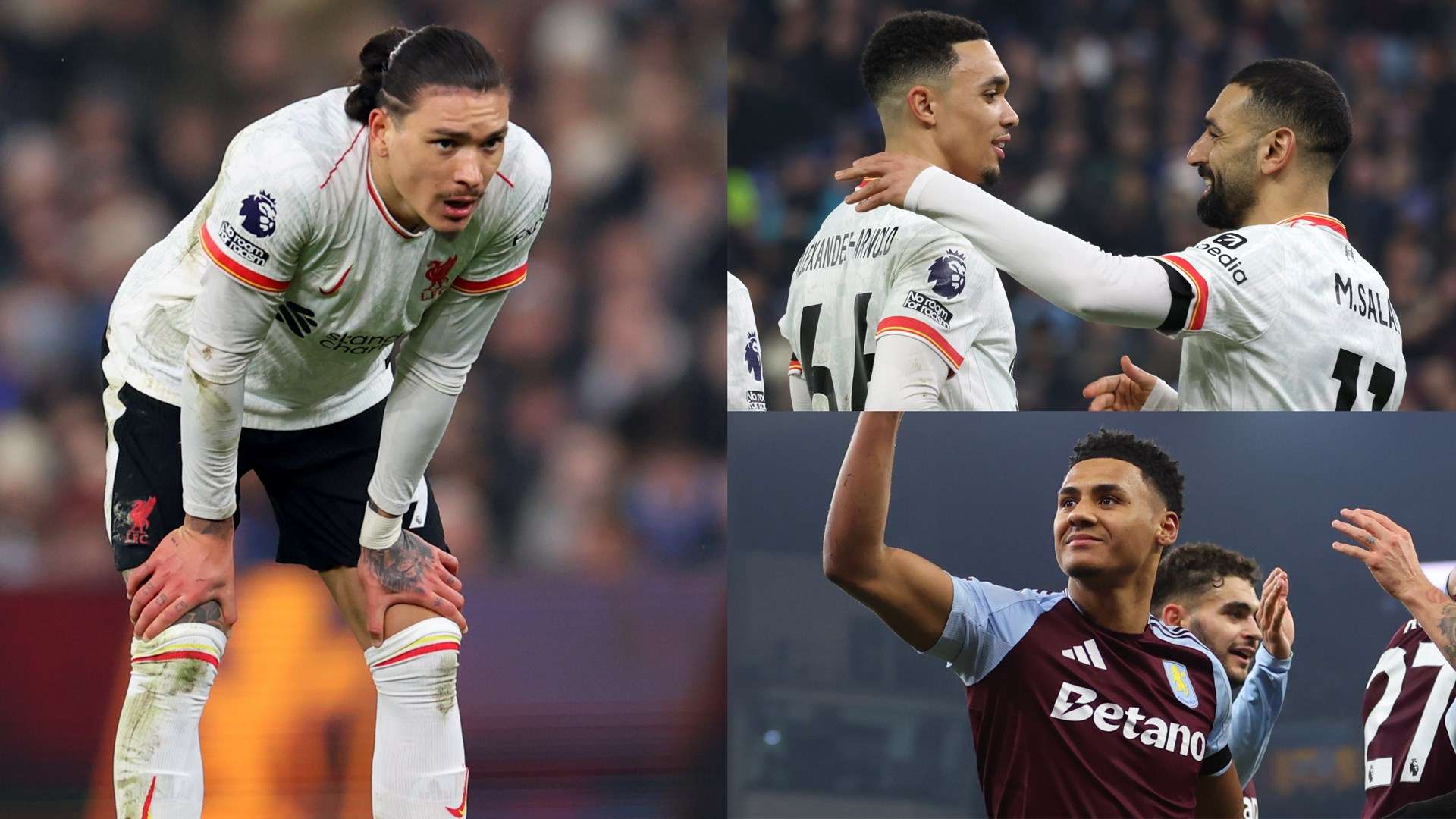 迎战国际米 迎战国际米